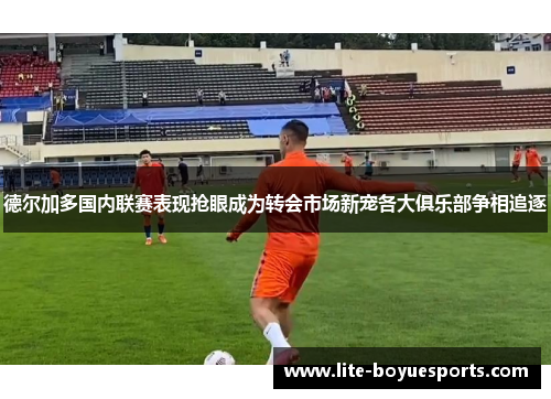 德尔加多国内联赛表现抢眼成为转会市场新宠各大俱乐部争相追逐 德尔加多国内联赛表现抢眼成为转会市场新宠各大俱乐部争相追逐