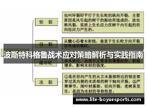 波斯特科格鲁战术应对策略解析与实践指南