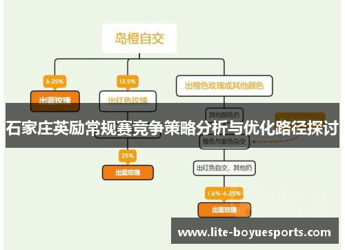 石家庄英励常规赛竞争策略分析与优化路径探讨